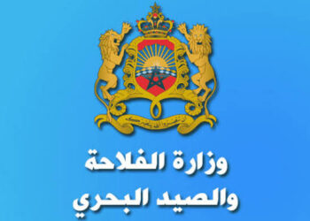مباراة توظيف 70 منصب بوزارة الفلاحة والصيد البحري 2026