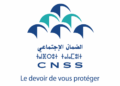 الصندوق الوطني للضمان الاجتماعي