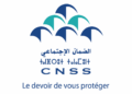الصندوق الوطني للضمان الاجتماعي برسم سنة 2026