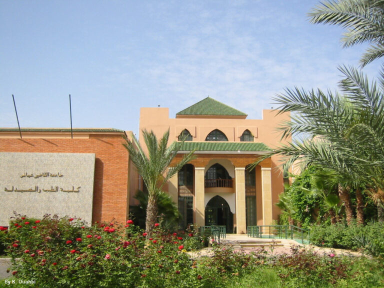 كلية الطب والصيدلة - مراكش: مباراة توظيف 53 مقيما في شعبة الطب لفائدة المركز الاستشفائي الجامعي محمد السادس بمراكش
